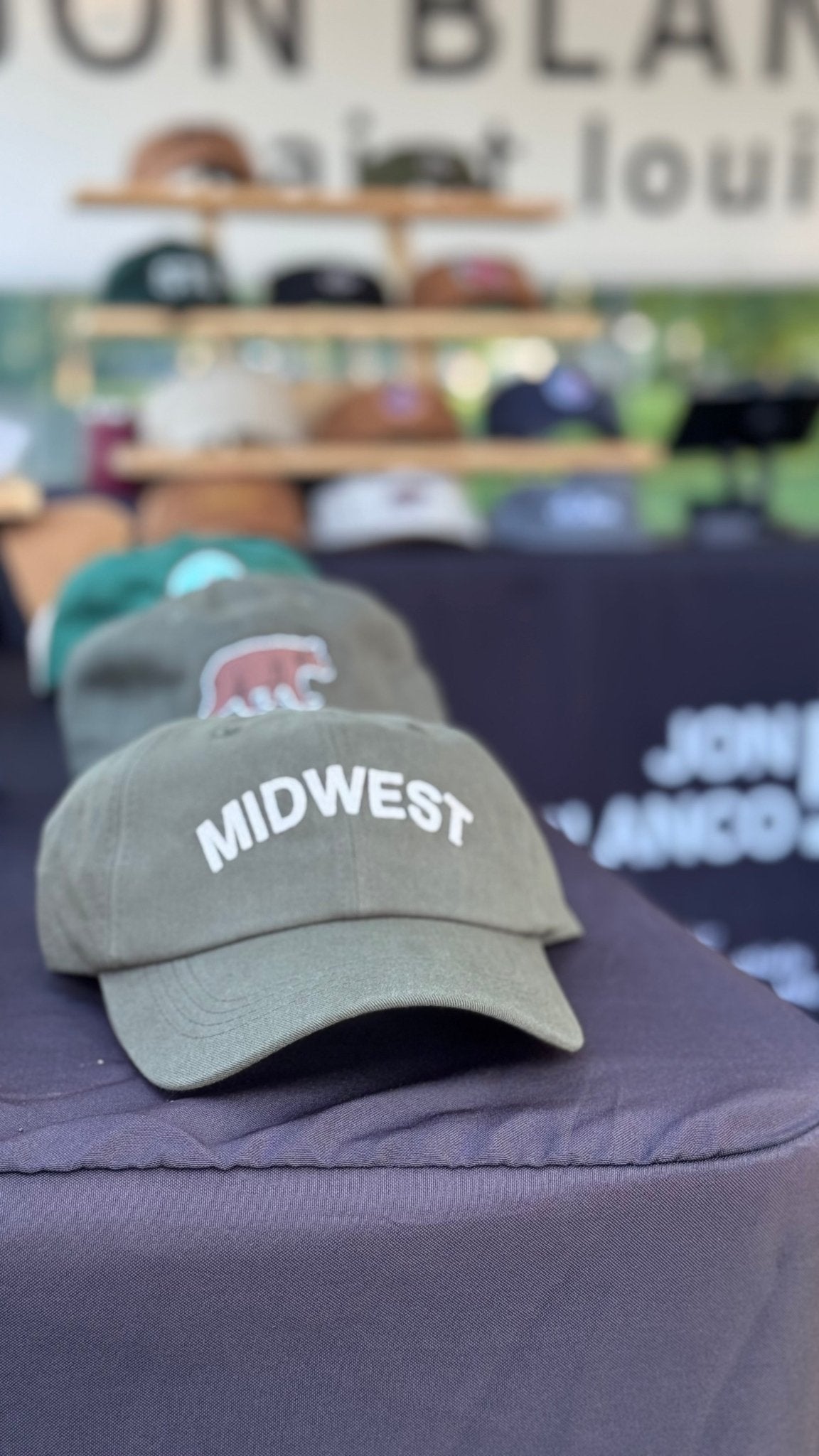 Organic Mid Profile Felt Midwest Patch Hat - JON BLANCO