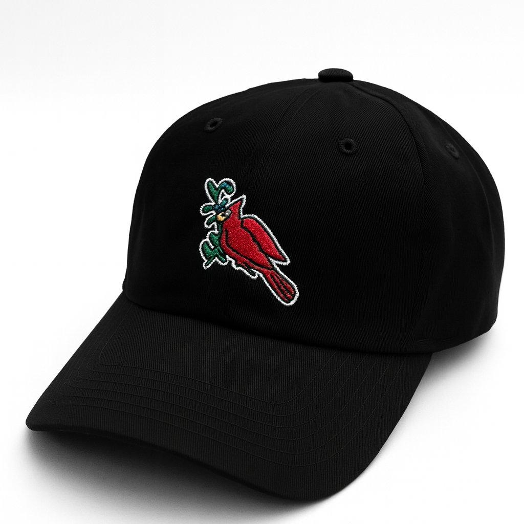 USA Made Organic Bird Hat