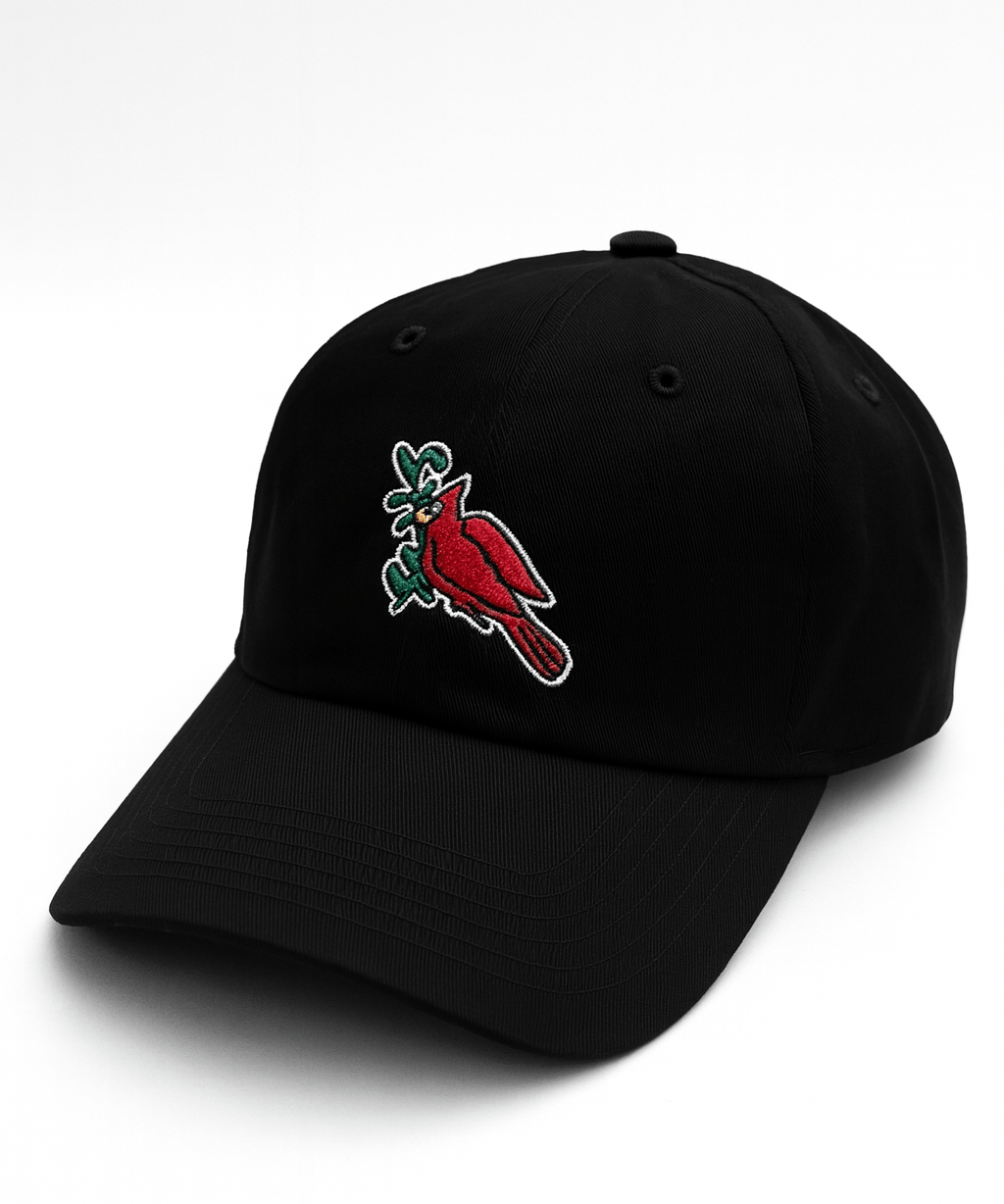 USA Made Organic Bird Hat - JON BLANCO